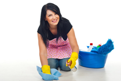Domestic Cleaning Balham